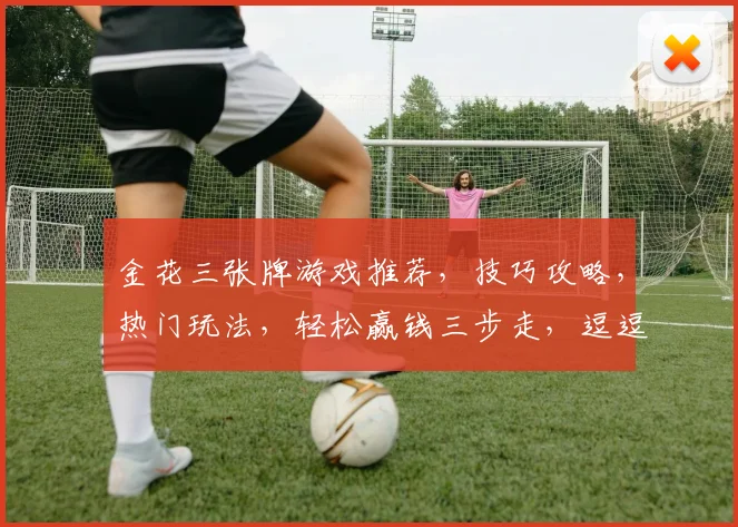金花三张牌游戏推荐，技巧攻略，热门玩法，轻松赢钱三步走，逗逗乐