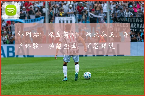 8x网站：深度解析，两大亮点，用户体验，功能全面，不容错过