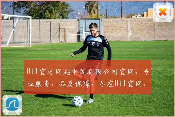 Htl官方网站中国有限公司官网，专业服务，品质保障，尽在Htl官网，一站式购物体验