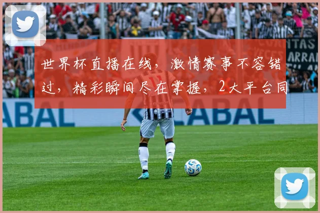 世界杯直播在线，激情赛事不容错过，精彩瞬间尽在掌握，2大平台同步呈现