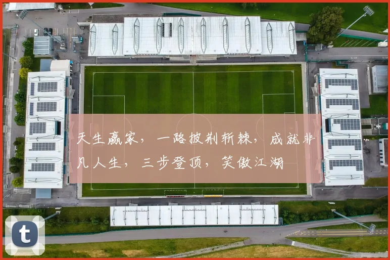 天生赢家，一路披荆斩棘，成就非凡人生，三步登顶，笑傲江湖